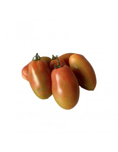 Pomodoro lungo della Campania per insalate