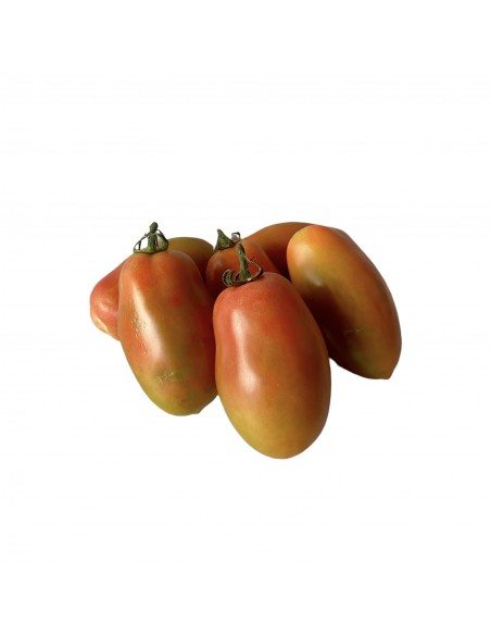 Pomodoro lungo della Campania per insalate