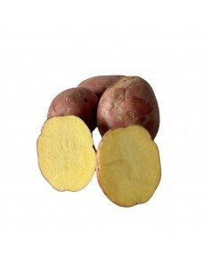 Patata rossa di montagna