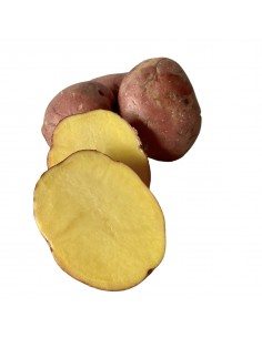 Patata rossa di montagna 2