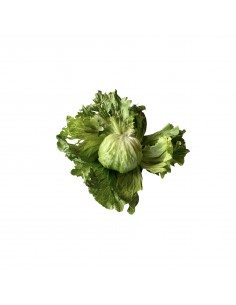 Insalata incappucciata napoletana 2