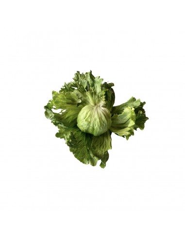 Insalata incappucciata napoletana