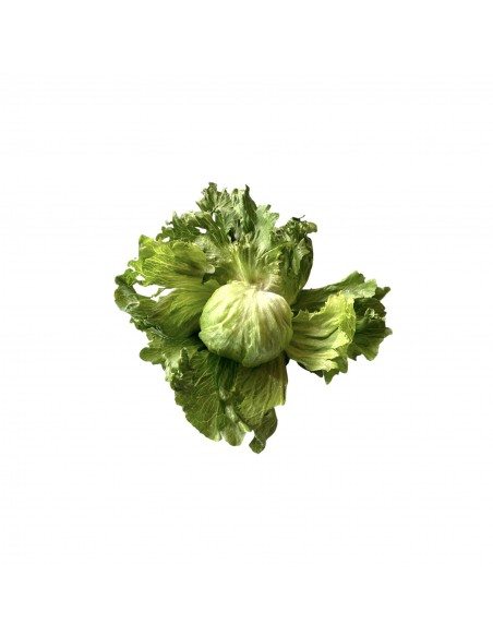 Insalata incappucciata napoletana