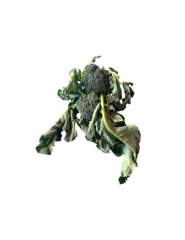 Cavolo broccolo paesano