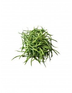 Fagiolini napoletani freschi 2