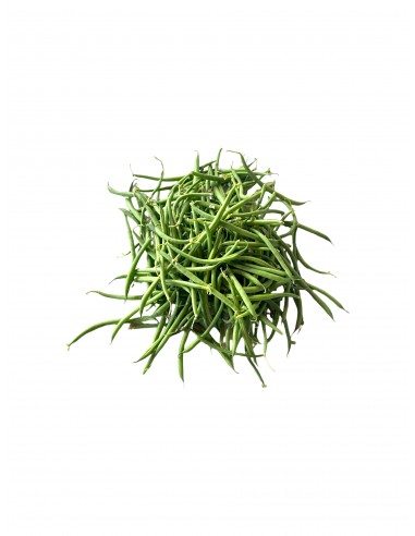 Fagiolini verdi freschi raccolti a mano