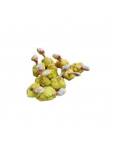 Bon Bon di pollo paesano con inpanatura speciale 2