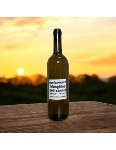 Vino rosso produzione propria 750ml