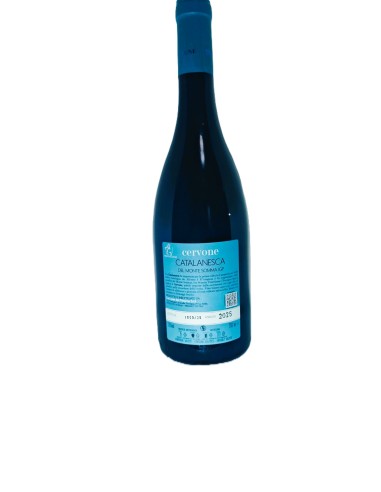 Cervone Catalanesca del Monte Somma IGP 2025