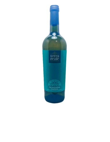 Terra Reale Falanghina Campania IGP 75cl