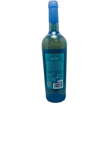 Terra Reale Falanghina Campania IGP 75cl