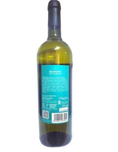Terra Reale Falanghina Campania IGP 75cl