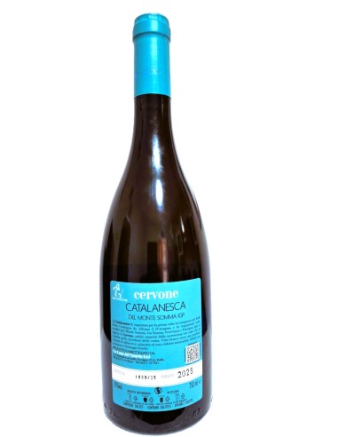 Cervone Catalanesca del Monte Somma IGP 2025