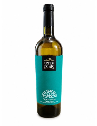 Terra Reale Falanghina Campania IGP 75cl
