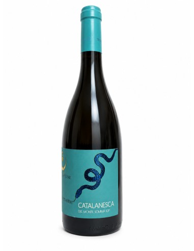 Cervone Catalanesca del Monte Somma IGP 2025