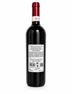 Le terre del normanno aglianico beneventano 75cl rosso 2
