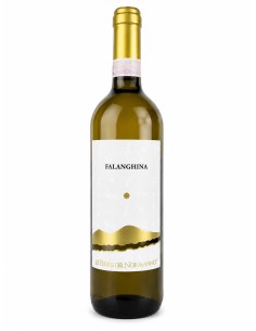 Le terre del normanno falanghina beneventano IGP 75cl bianco
