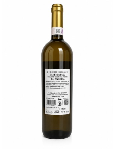 Le terre del normanno falanghina beneventano...