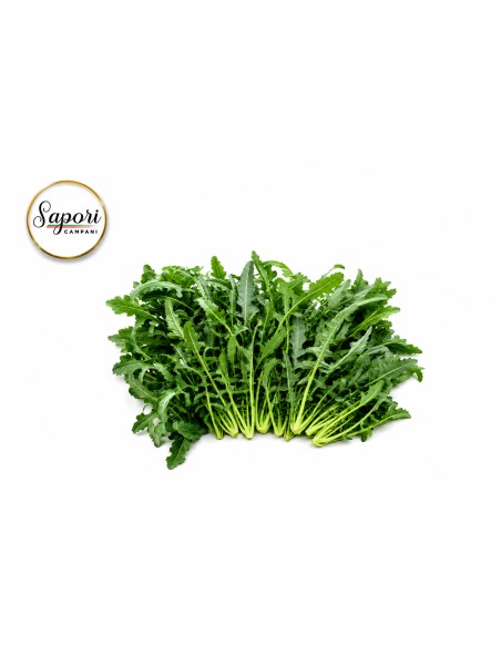 L'Orto di Sapori Campani - Frutta e Verdura di Stagione - Broccolo di Natale 1 KG