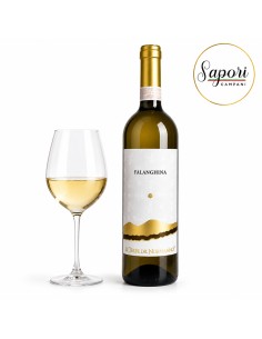 La Cantina di Sapori Campani - Vini Liquori e Distillati...