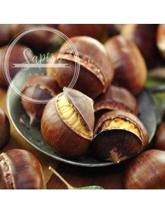 Castagne di Montella IGP