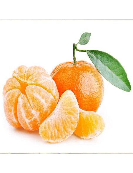 Arance e mandarini del Vesuvio