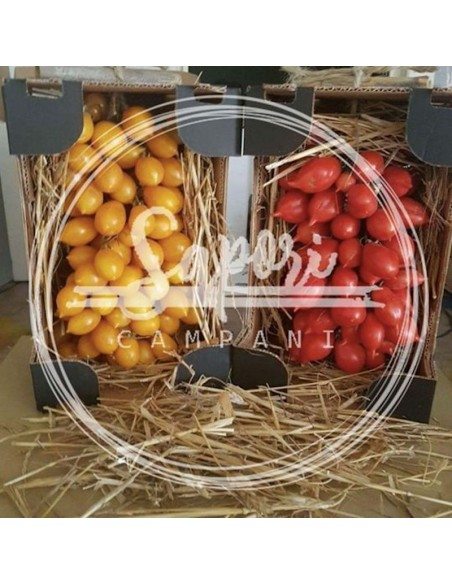 Pomodori del Piennolo del Vesuvio