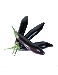 Melanzana nera lunga senza semi 2