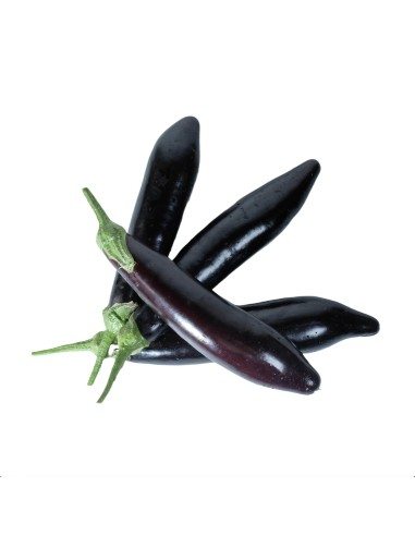 Melanzane Lunghe del Vesuvio