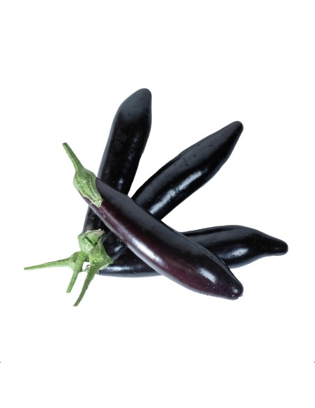 Melanzane Lunghe del Vesuvio