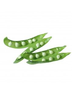 Pisello fresco centogiorni, coltivato sui terreni vulcanici del vesuvio