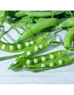 Pisello fresco centogiorni, coltivato sui terreni vulcanici del vesuvio 2