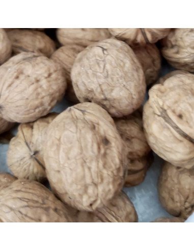 Noci di Sorrento IGP