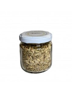 Semi di finocchietto selvatico della costiera sorrentina