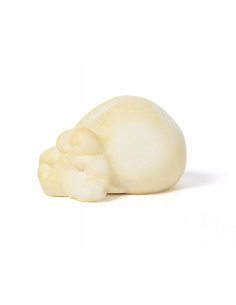 I diavoletti di Vico Equense, sono piccoli caciocavalli 2