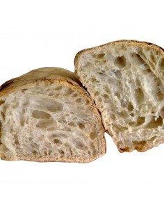 Panificio Michelangelo Bobb pane cafone kg1 2