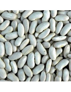 Fagioli cannellini Dente di Morto di Acerra 2