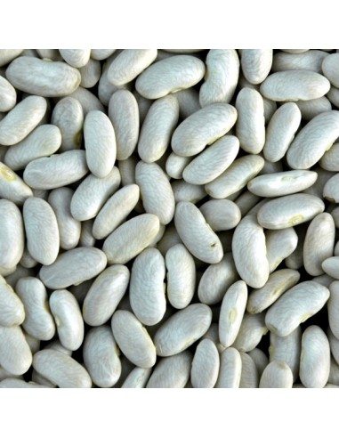 Fagioli cannellini Dente di Morto di Acerra