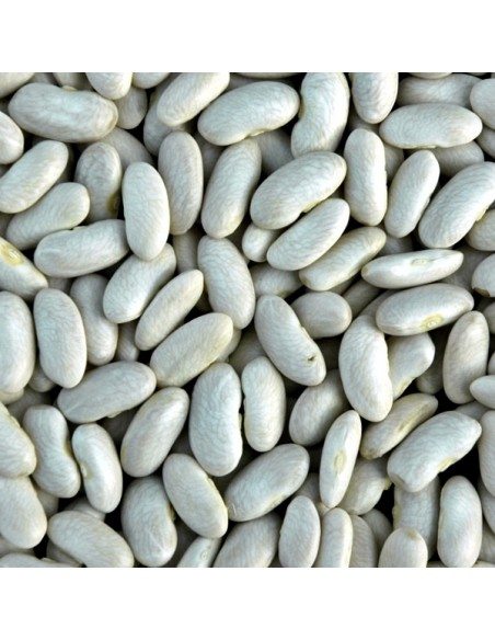 Fagioli cannellini Dente di Morto di Acerra