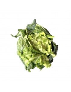 Insalata cappuccia napoletana