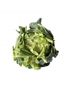 Insalata cappuccia napoletana 2