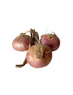 Cipolle di Montoro, in provincia di Avellino